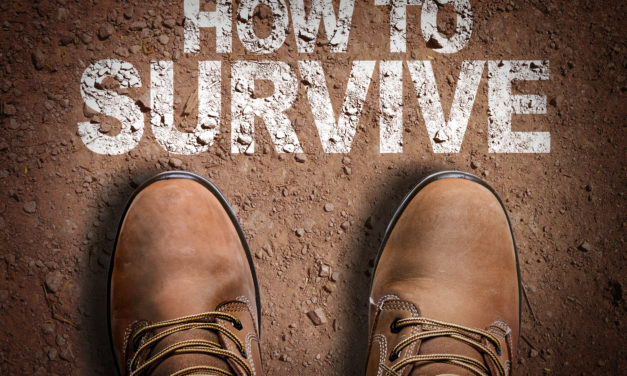 Stories – Survival Guides Compiled by God