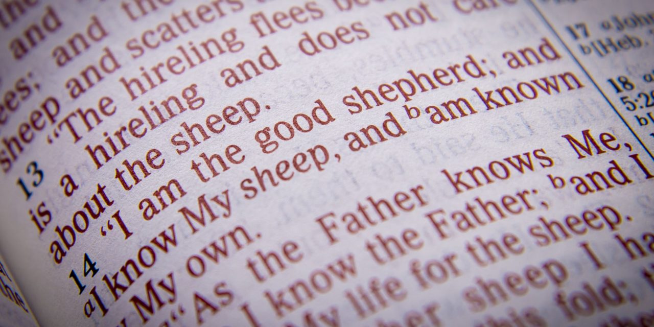 The Good Shepherd | Tracy Jessup