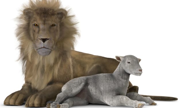 Lion of the tribe of Judah and the Lamb of God | Bruce Cannon