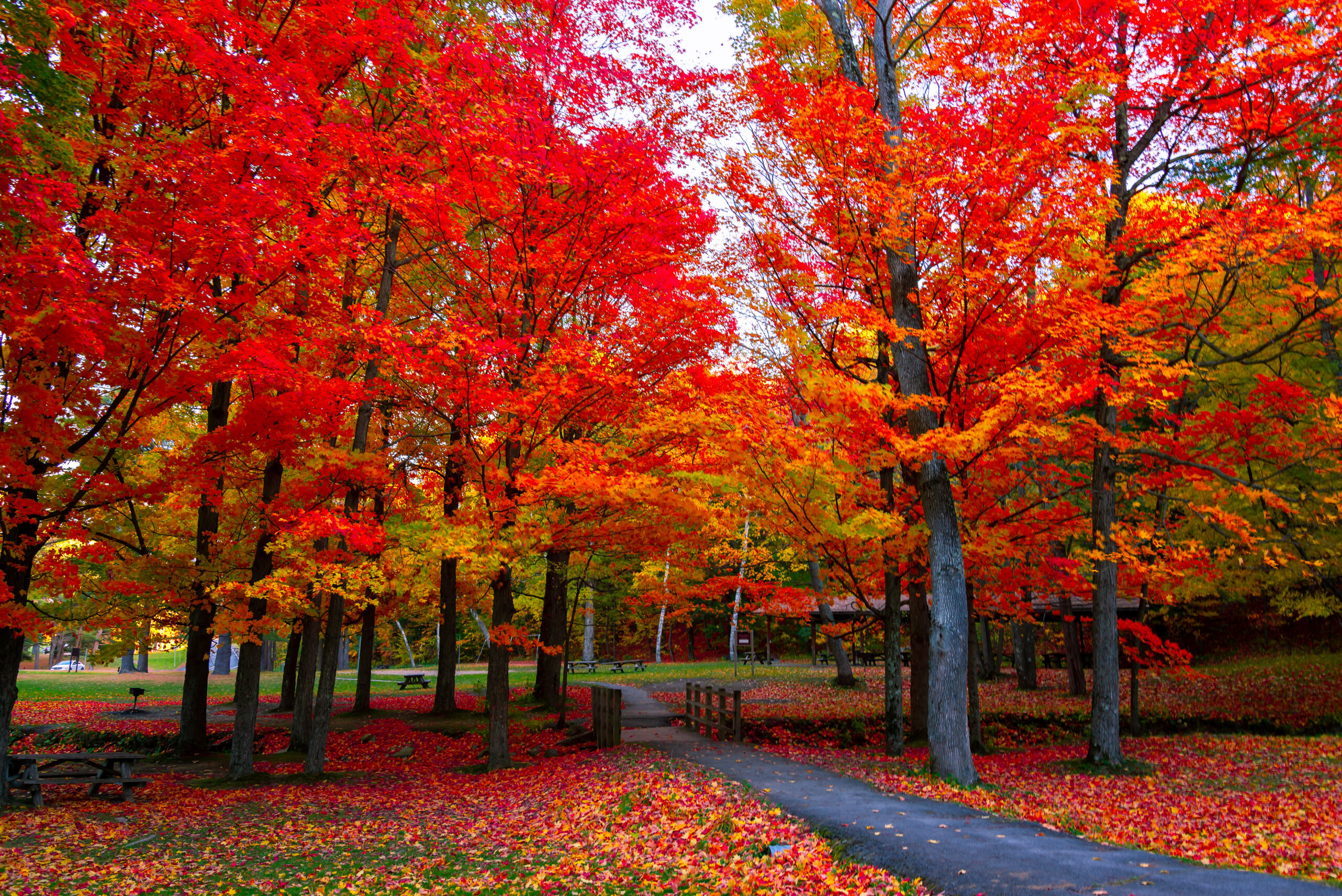 Beautiful fall foliage in the northeast USA : Blue Ridge Christian News