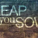 You Will Reap What You Sow | Joe Sturz