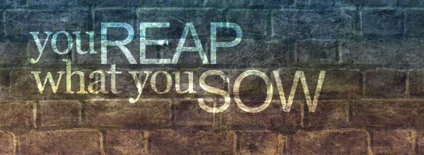 You Will Reap What You Sow | Joe Sturz