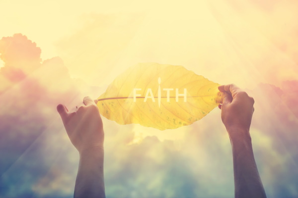Faith or Fear? | Dan Qurollo
