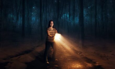 A Lighted Path | Glenda Ward