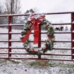 79 Years of Christmas Memories | Doug Harrell