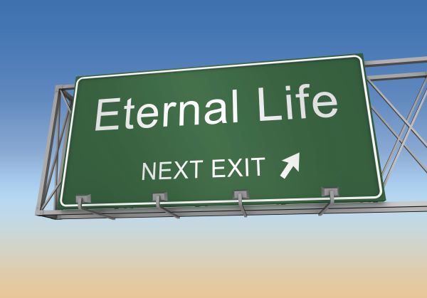 Eternal Life | Ryan Bridgeo