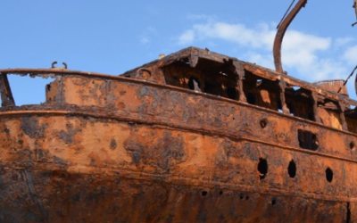 19th-Century Shipwreck Discovered in Baltic Sea – Polish Divers Unearth Champagne, Mineral Water, and Porcelain Artifacts