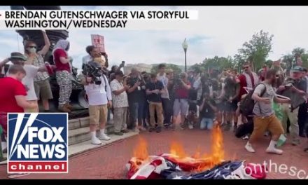 Pro-Hamas protesters rage in DC, burn American flag