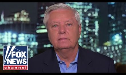 Lindsey Graham: Kamala Harris ‘doesn’t know what the hell she’s doing’