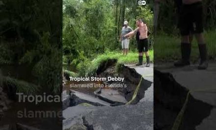 Tropical Storm Debby turns streets into rivers in Florida | DW News