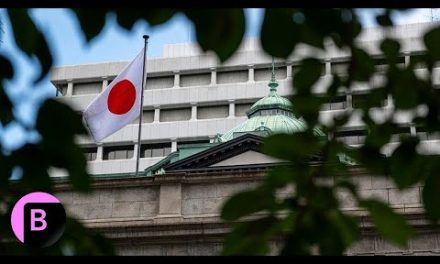 BOJ Deputy Governor Sends Dovish Signal After Market Volatility