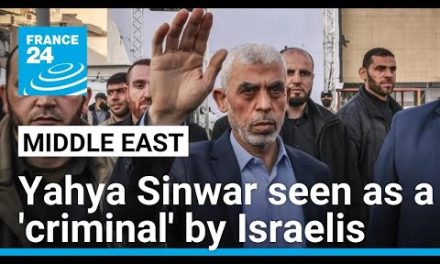 ‘Israelis view Yahya Sinwar who masterminded the October 7 attack as a criminal’ • FRANCE 24