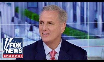 Kevin McCarthy: Democrats have gone ‘way too far’