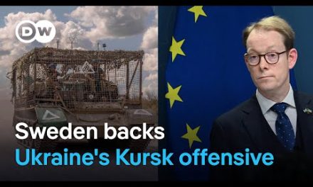 Amid Kursk offensive: Sweden’s FM talks about Russia’s influence in West Africa | DW News