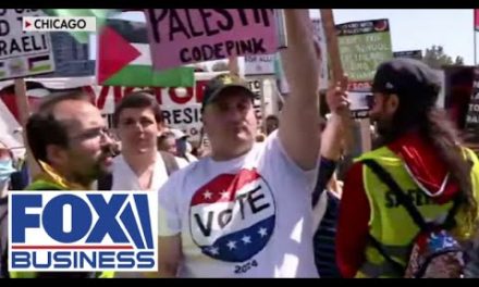 ‘WORTH THE HOSTILITY’: Man braves DNC protests holding up American flag