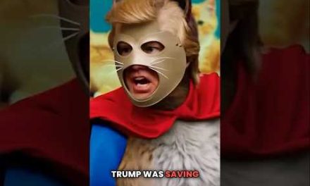 Woke Gen Z Meltdown Over Trump Cat Memes