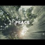 Jesus Brings Us True Peace