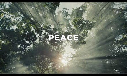 Jesus Brings Us True Peace