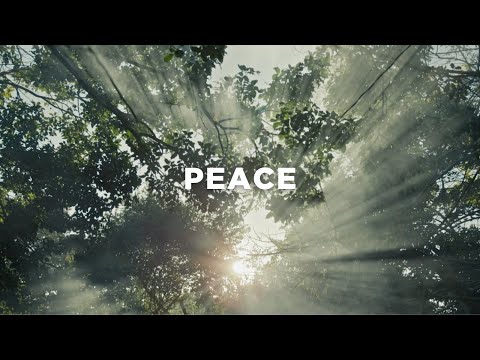 Jesus Brings Us True Peace