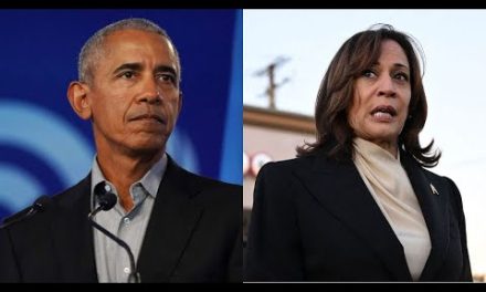 Former Obama Fundraiser Shreds Kamala Harris – ‘Patronizing’