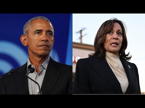 Former Obama Fundraiser Shreds Kamala Harris – ‘Patronizing’