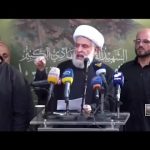 ‘Lebanese political class completely helpless in face of militia Hezbollah’ • FRANCE 24 English