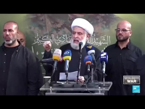 ‘Lebanese political class completely helpless in face of militia Hezbollah’ • FRANCE 24 English