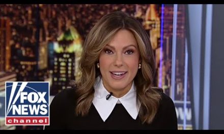 Lisa Boothe: ‘What’s the point’ of the Secret Service if they can’t protect Trump?