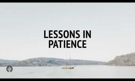 Lessons in Patience | Audio Reading | Our Daily Bread Devotional | October 9, 2024