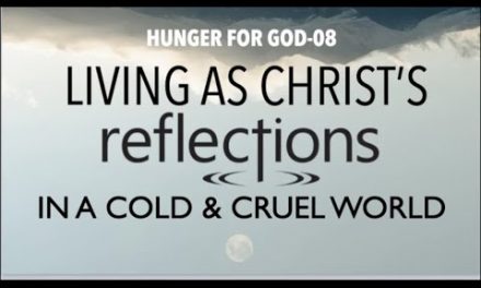 HOW TO LIVE AS CHRIST’S REFLECTIONS IN A COLD & CRUEL WORLD