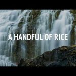 A Handful of Rice | Audio Reading | Our Daily Bread Devotional | November 12, 2024