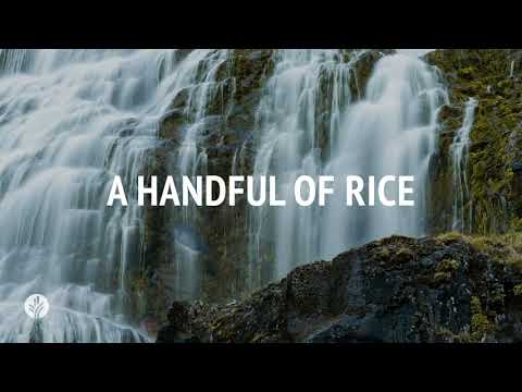 A Handful of Rice | Audio Reading | Our Daily Bread Devotional | November 12, 2024